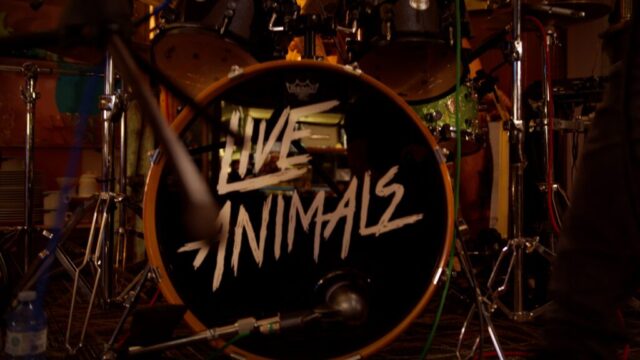 Live Animals
