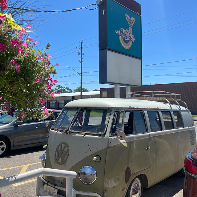 The Vintage Venture
